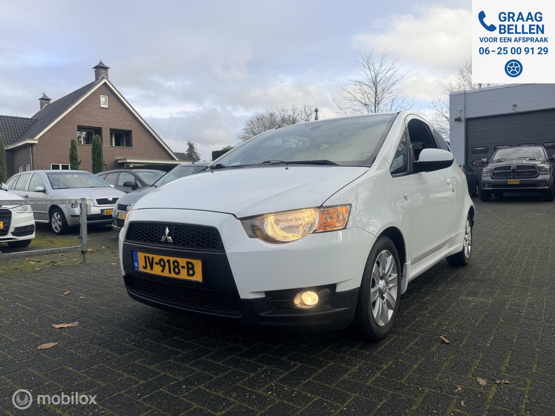 49476954